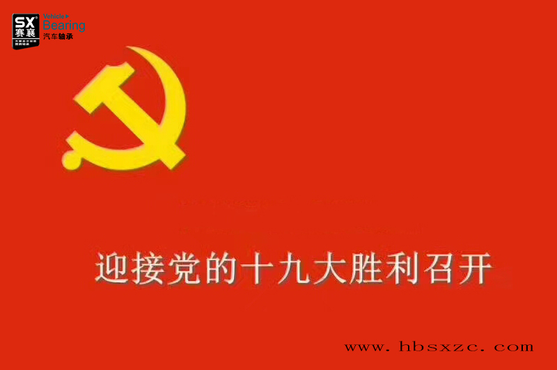 十九大.赛襄轴承网站资讯